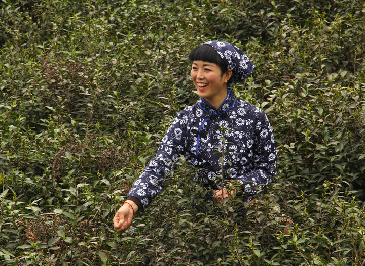免费在线观看9